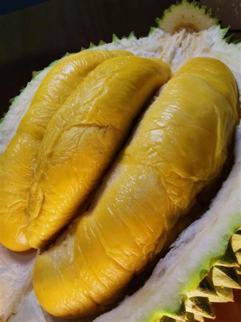 Msw Mao Shan Wang Musang King Durian G Box Self Collect Or Delivery