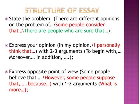 Essay Structure Example - Brazil Network