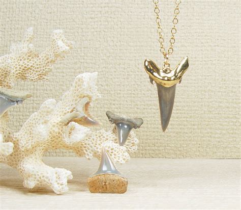 Shark Teeth Necklaces | Earth Relics Jewelry Company