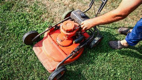 Pros And Cons Of Dethatching Lawn | Angi