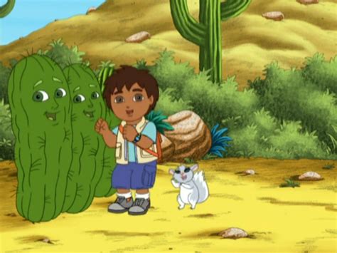 Go Diego Gochinta The Baby Chinchilla Nickstory Wiki Fandom