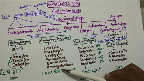 Anticancer Drugs Structure