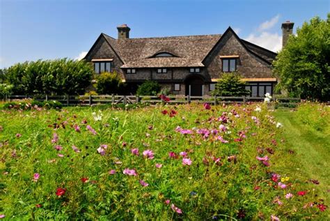 Establishing a Wildflower Meadow | HGTV