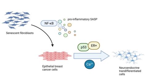 Figure 1 IMAGE EurekAlert Science News Releases