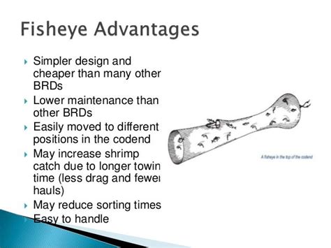 Bycatch Reduction Devices