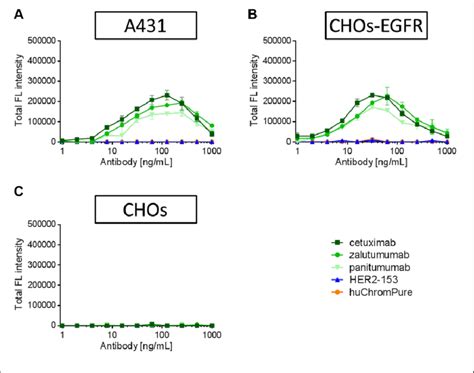 Antibody Internalization By Recombinant Surface Receptors A431 Cells