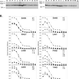 A Clustalw Alignment Of Prototype Strains Representative Of Each Hcv