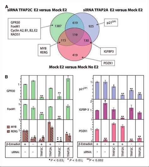 Pattern Of Gene Expression Controlled By TFAP2C And TFAP2A Compared