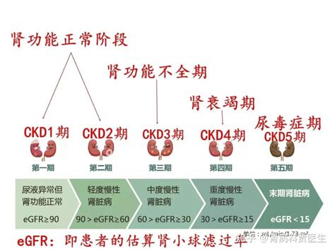 慢性肾友怎么看病情轻重肾病病理分级和分期两码事 知乎