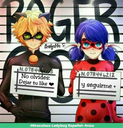 TODO sobre MULTIMOUSE MARINETTE Por qué USARÁ OTRO MIRACULOUS