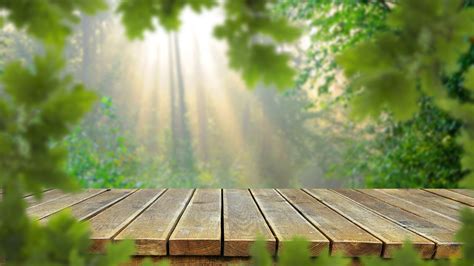 Closeup View Wood Dock Bushes Trees Leaves Green Grass Water Stream ...