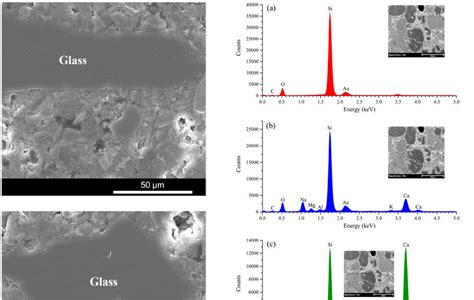 EDX Analysis Results SEM Micrographs Show The Interfacial Transition