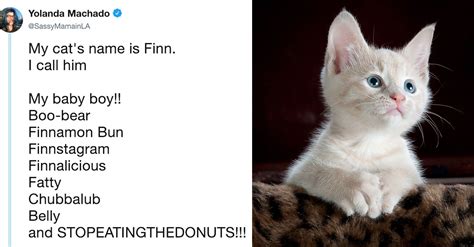 People Share The Weirdest Nicknames They Call Their Pets