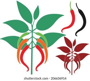 Chili Pepper Vector Illustration Stock Vector (Royalty Free) 206636914 ...