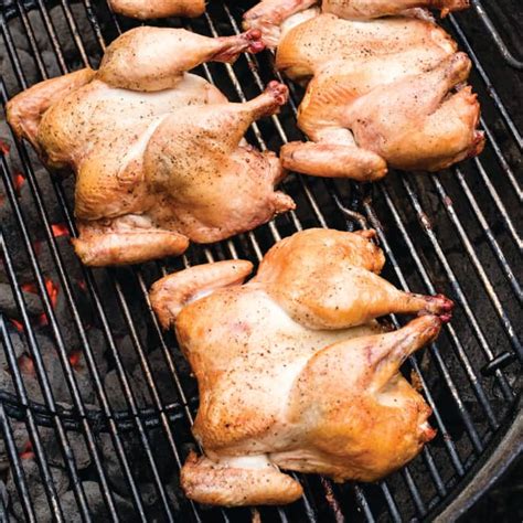 Grilled Cornish Game Hens America S Test Kitchen Recipe