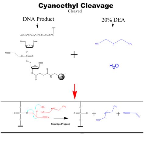 News - Principles of Nucleic Acid Synthesis