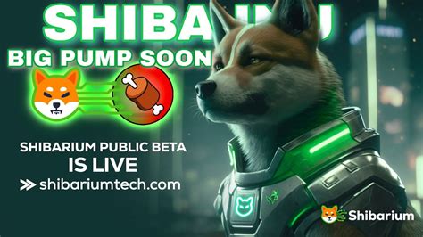 SHIBA INU BIG UPDATE NEWS3 5 BILLION BURNSHIBARIUM LAUNCH LIVE NOW