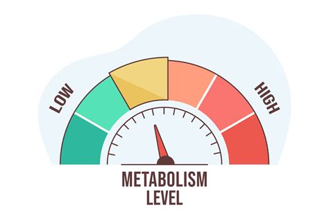 Signs You Have Metabolic Syndrome Healthy Life Happy Mind