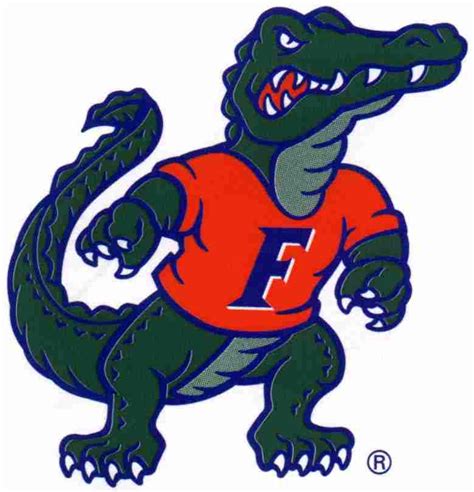 Florida Football Here We Go Florida Gators Football Gators