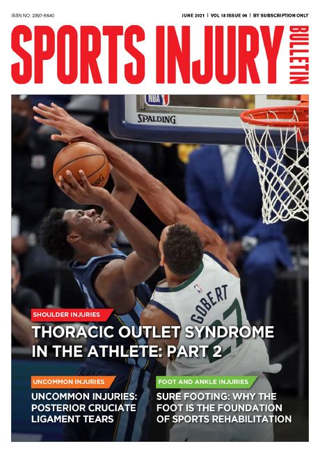 Sports Injury Bulletin Anatomy Adductor Magnus Tales Of Tightness