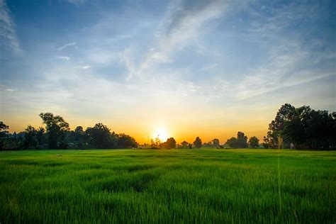 Green Field Sunrise 4k Wallpaper Hd Wallpaper Background Images