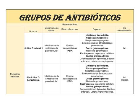 Tipos Antibioticos Clasificaci N De Los Antibi Ticos Principales Hot