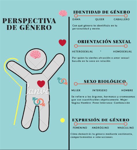 Perspectiva De GÉnero En La EducaciÓn Clse 8infografias Sobre Perspectiva De Género