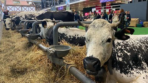 Salon de l agriculture 2024 un saucisson fabriqué dans le Rhône en or