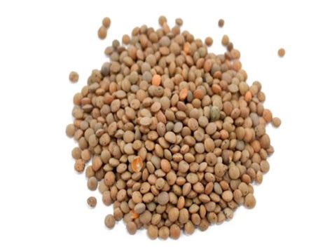 Brown Lentils Nutrition Facts - Eat This Much