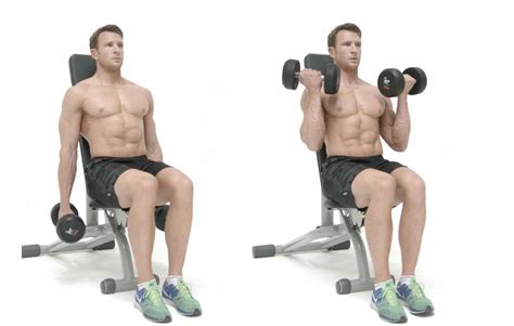 How To Do The Seated Twisting Bicep Curl Mens Health