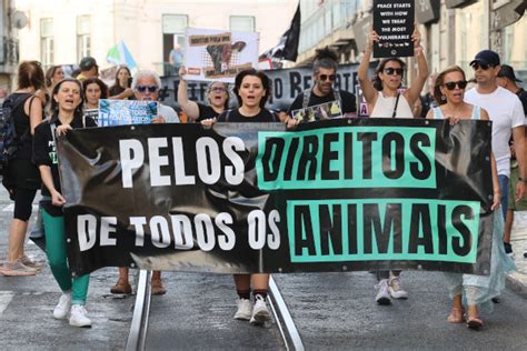 Centenas De Pessoas Marcharam Em Lisboa Em Defesa Dos Direitos De Todos