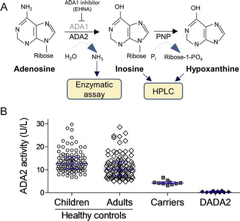 Figure From Polyarteritis Nodosa And Deficiency Of Adenosine