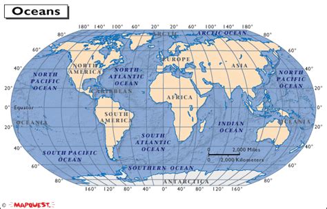 Key questions about ocean biome - My Ocean Biome Site