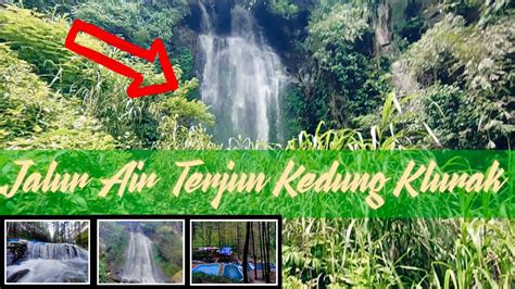 WATU KODOK WATERFALL KLURAK ECO PARK PACET RUTE MENUJU AIR TERJUN