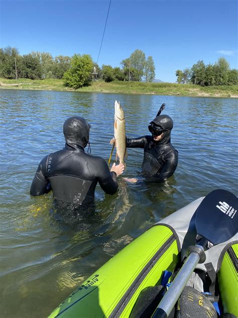 Landed this fella spear fishing in seeley lake MT : r/Fishing