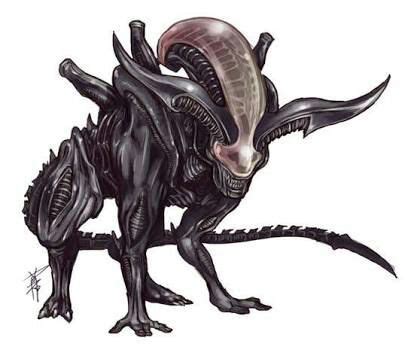 Xenomorfos Wiki Animes Amino