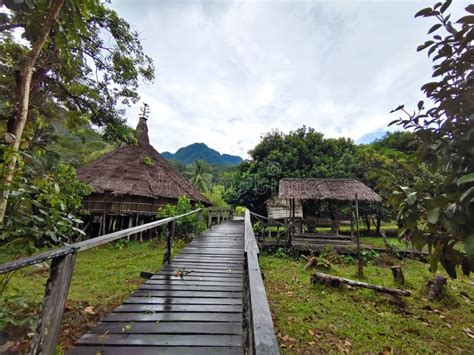 Sarawak Culture Village stock photo. Image of jungle - 233412376