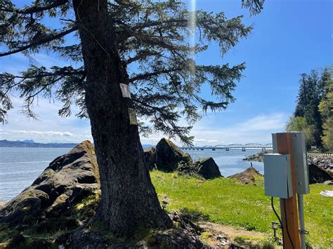 weather for long beach washington 6