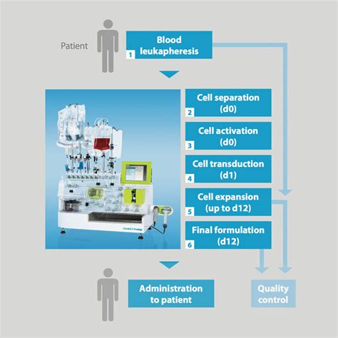 Cd20 Car Transduced T Cells For Individualized Melanoma Therapy