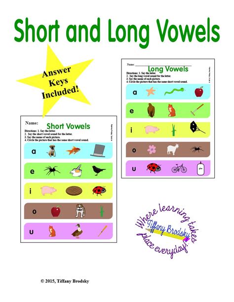 Short Or Long Vowel Worksheets