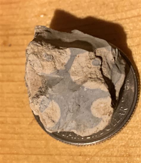 Strange Stone Found In Southeast Missouri Native American Artifacts