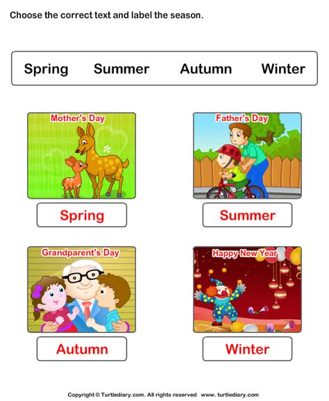 Kids Seasons Worksheets Worksheet - Turtle Diary