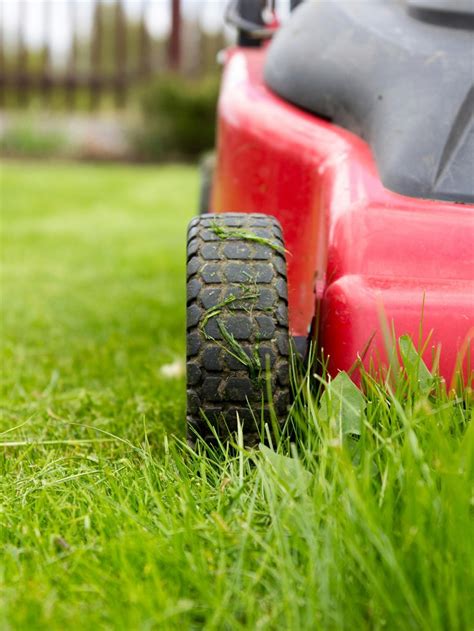 Mowing Your Grass The Ideal Height