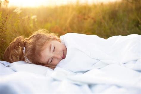 Sleep Nature Stock Photos, Images and Backgrounds for Free Download