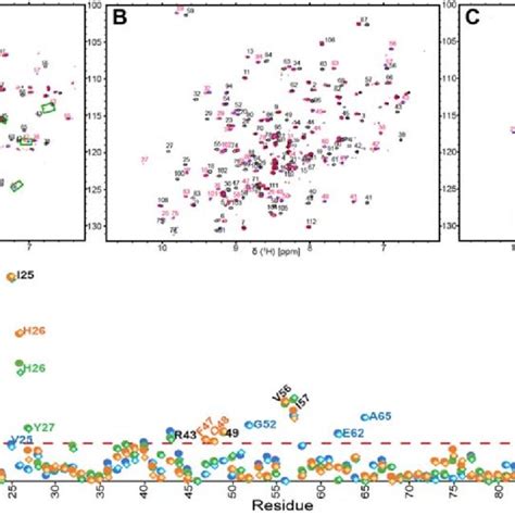 Nmr Binding Of Fk And Apx To The Human A Fumigatus And M