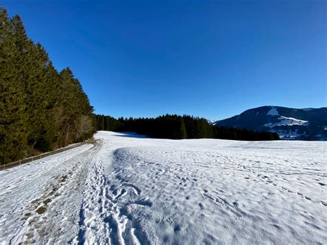 07 02 20 Wanderung Zur Juget Alpe Oberhalb Des Alpsees Wusontours