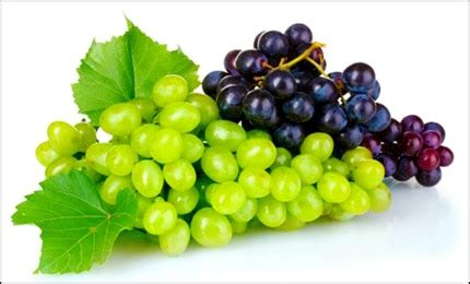 Angoor (Vitis Vinifera) - Grapes Uses, Benefits, Properties & Dosage