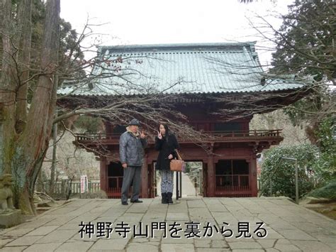 虎騒動を思い出して、鹿野山神野寺で見たものは、「虎の皮」と 西村治彦の日記