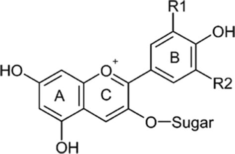 Chemical Structure Of Anthocyanin Download Scientific Diagram