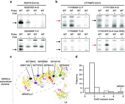 Top Genes Validate In Functional Assays In Context Of Known Protein